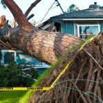 Weathering the Storm: A Homeowner’s Guide to Storm Damage Claims in California