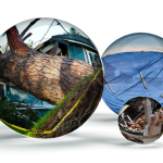 Storm Damage Claims in the Pacific Northwest