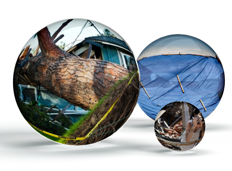 Storm Damage Claims in the Pacific Northwest